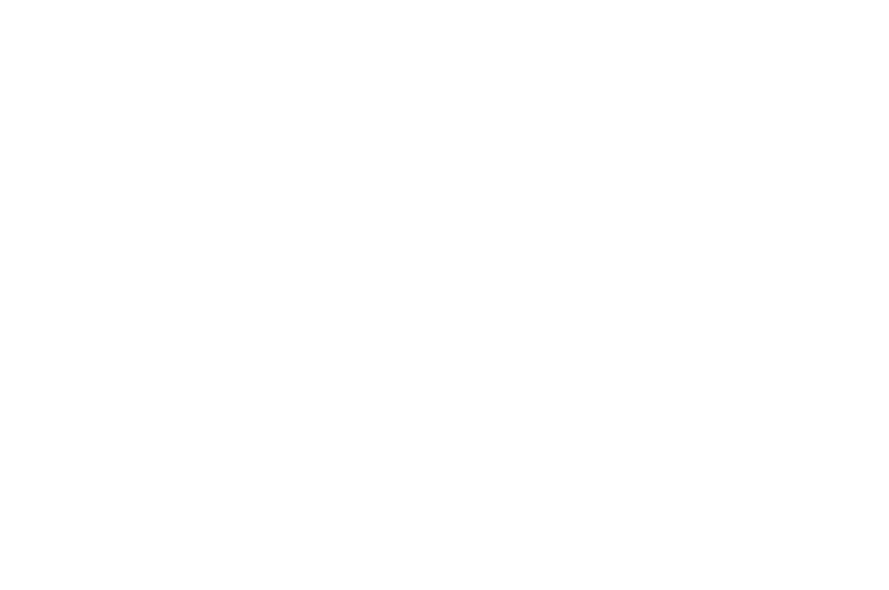 Mannheim Arts and Film Festival