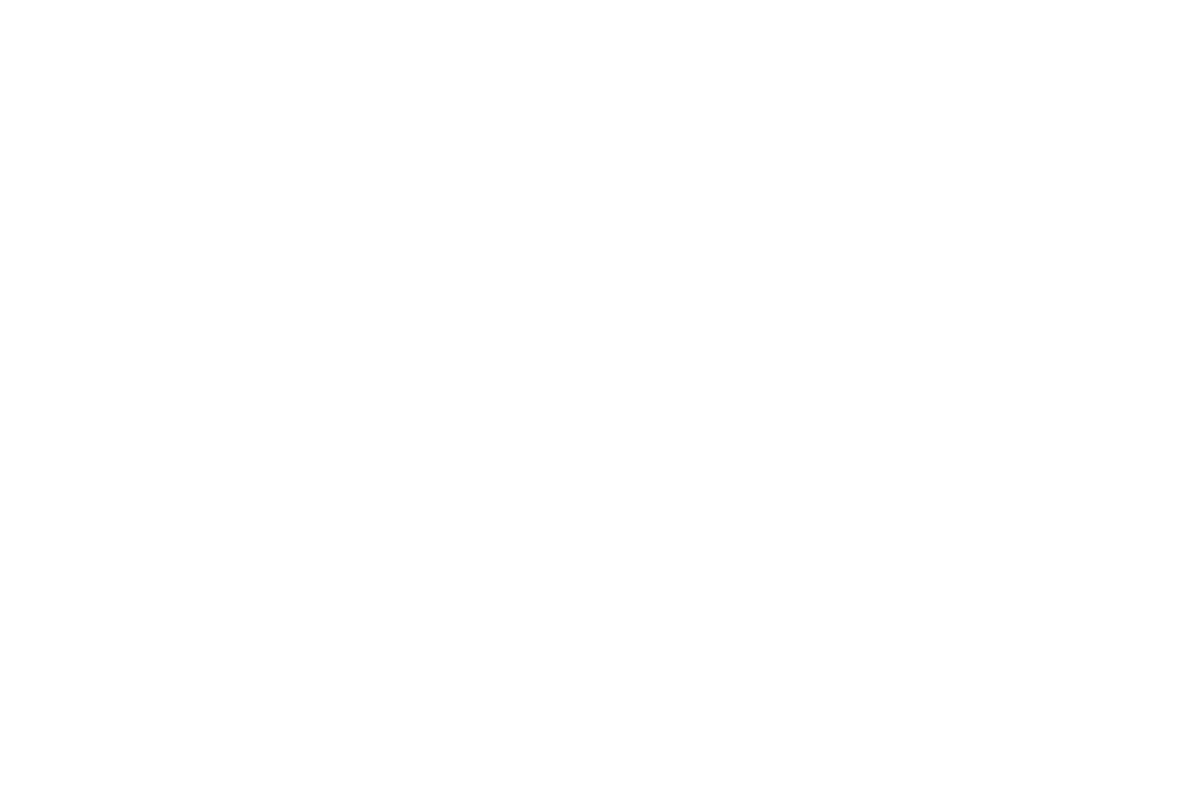 New York Indie Shorts Awards