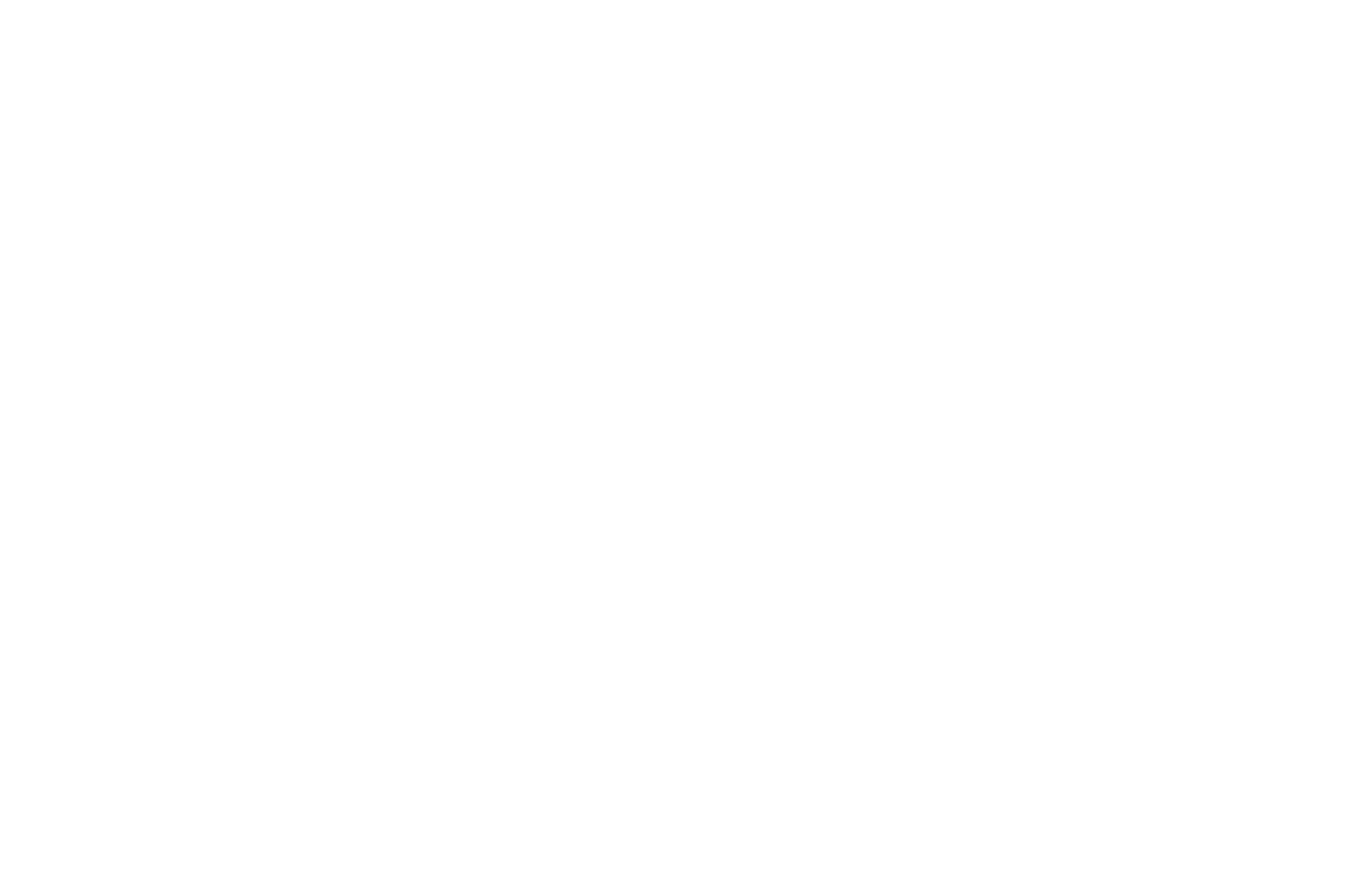 TiSFF